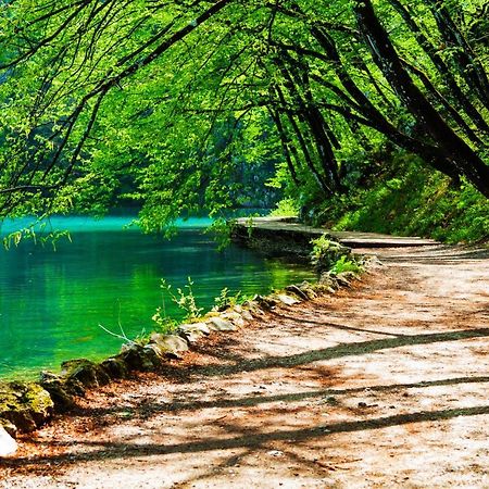 Plitvicka Kuca D - Plitvice Lakes Plitvička Jezera 外观 照片